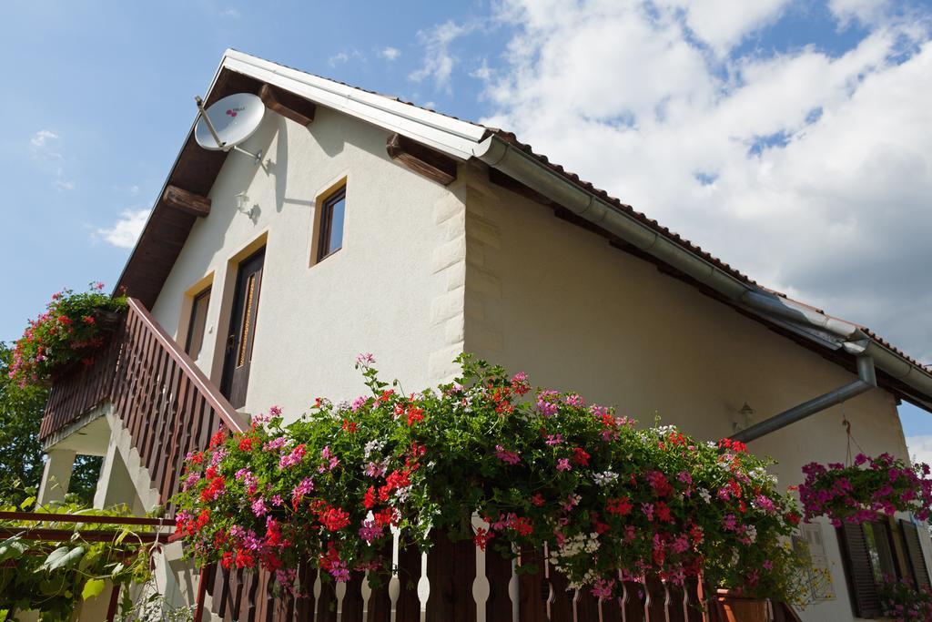 Apartment Ines Smoljanac Exterior photo